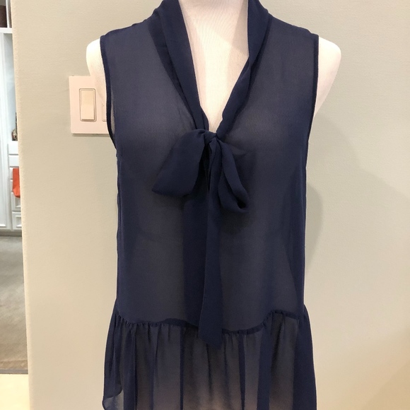 Wilster Blue Sheer Sleeveless Blouse - Picture 1 of 8